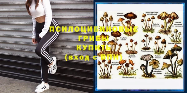 кокс Магадан