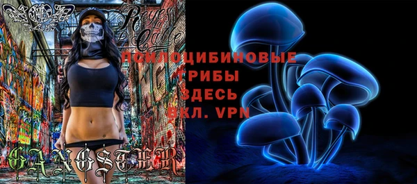 apvp Майский