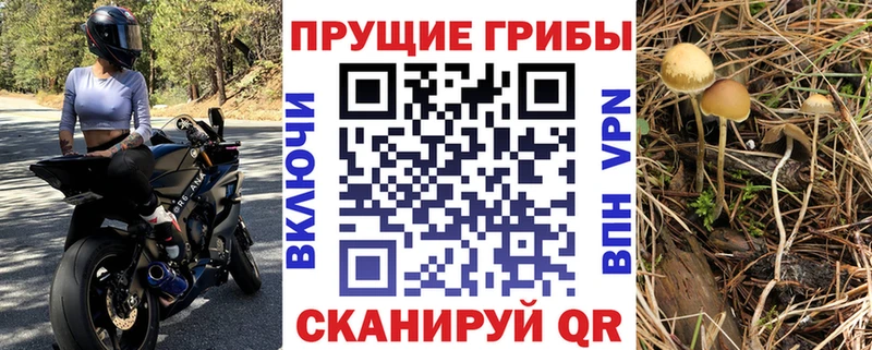 Псилоцибиновые грибы мухоморы Елизаветинская